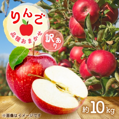 令和8年産先行受付 山形県中山町産りんご<訳あり・家庭用>約10kg　玉数おまかせ ※数量限定