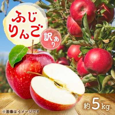 令和8年産 山形県産 旬のふじりんご 訳あり 計5kg