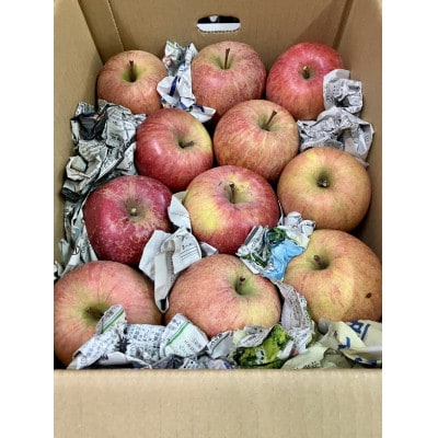 令和8年産 山形県産 旬のふじりんご 訳あり 計5kg