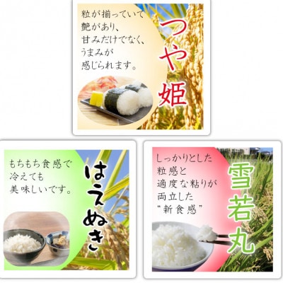 【令和8年産先行受付】中山町産三米(つや姫・雪若丸・はえぬき)新米食べくらべセット(精米)合計6kg