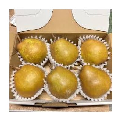 山形県産ラ・フランス　ゴールド 特秀品 約2kg玉数　おまかせ