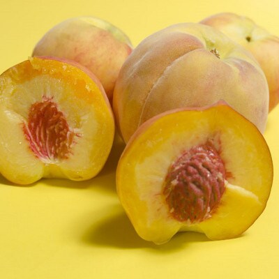 山形県産黄桃　特秀品　約1.5kg　品種・玉数おまかせ