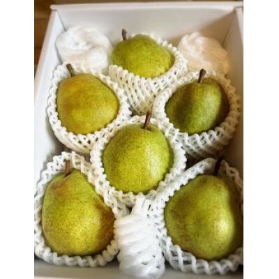 山形県産ラ・フランス　約1.5kg　特秀品　玉数おまかせ