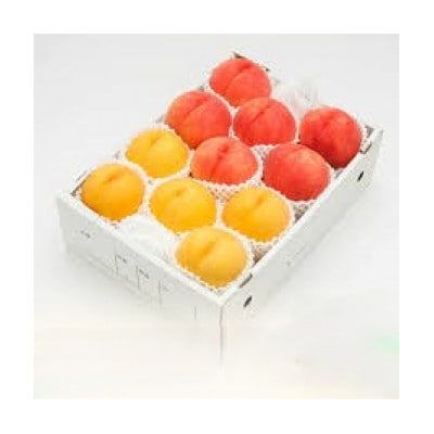 山形県産 白桃・黄桃ミックス 秀品 計約3kg 柔らかくなる桃(品種・玉数おまかせ)