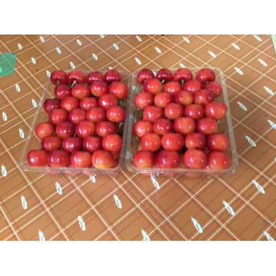 【令和9年産先行受付】山形県中山町産さくらんぼ「やまがた紅王」600g　特秀品　2L/3Lサイズ混合