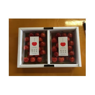 【令和9年産先行受付】山形県中山町産さくらんぼ「やまがた紅王」600g　特秀品　2L/3Lサイズ混合