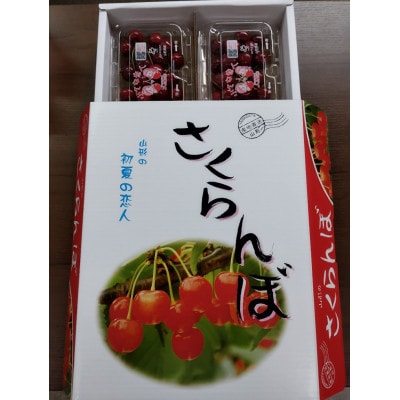 【令和9年産先行受付】山形県中山町産「紅さやか」秀品　M/Lサイズ　約800g(200g×4P)