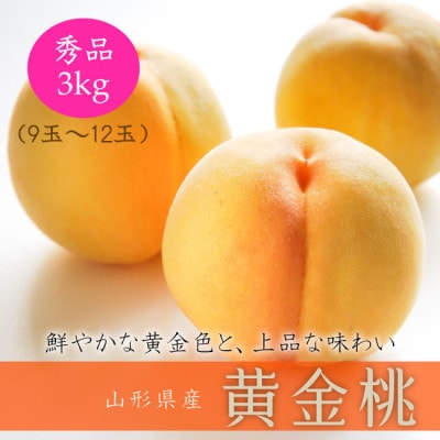 令和9年産先行受付 山形県中山町産 黄金桃 秀品 約3kg ※軟らかくなる桃 品種・玉数おまかせ