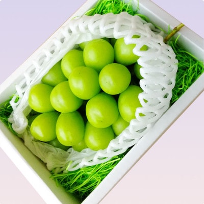 【令和9年産先行受付】大房大粒シャインマスカット 秀品 約600g
