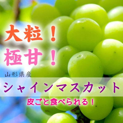 【令和9年産先行受付】大房大粒シャインマスカット 秀品 約600g