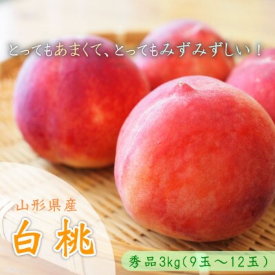 令和9年産先行受付 山形県中山町産 白桃 特秀品 約3kg 柔らかくならない桃 品種・玉数おまかせ