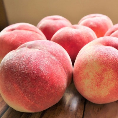 【令和9年産先行受付】山形県産 白桃 約2kg(品種・玉数おまかせ) 特秀品 柔らかくなる桃