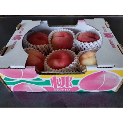 『令和9年産先行受付』山形県産 白桃(品種・玉数おまかせ) 特秀品 約1.5kg 柔らかくなる桃