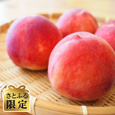 【さとふる限定】【令和9年産先行受付】山形県中山町産 川中島白桃 約2kg