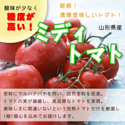 【令和9年産先行受付】山形県中山町産ミディトマト《シンディスイートまたはフルティカ》　約2kg