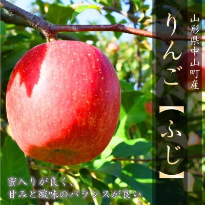 令和9年産先行受付  山形県中山町産ふじりんご《秀品》　5kg　玉数おまかせ