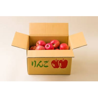 令和9年産 山形県産 旬のふじりんご 訳あり 計約5kg