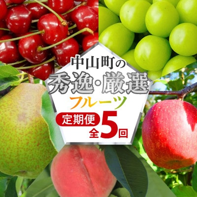 【発送月固定定期便】中山町の秀逸・厳選フルーツ定期便　全5回