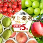 【発送月固定定期便】中山町の至上・厳選フルーツ定期便全5回