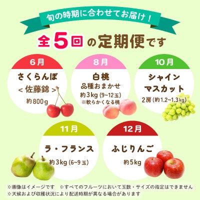 【発送月固定定期便】中山町の至上・厳選フルーツ定期便全5回