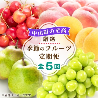 【発送月固定定期便】中山町の至高!厳選季節のフルーツ定期便全5回