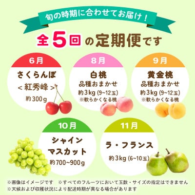 【発送月固定定期便】中山町の至高!厳選季節のフルーツ定期便全5回