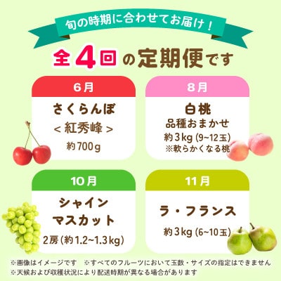 【発送月固定定期便】中山町の至高!秀逸季節のフルーツ定期便全4回