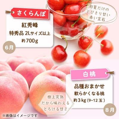 【発送月固定定期便】中山町の至高!秀逸季節のフルーツ定期便全4回