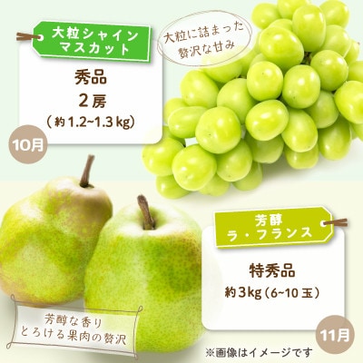 【発送月固定定期便】中山町の至高!秀逸季節のフルーツ定期便全4回