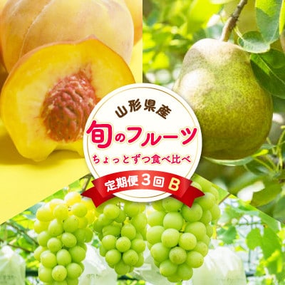 【発送月固定定期便】至高のフルーツ! 中山町旬のフルーツちょとずつ食べ比べ定期便B全3回