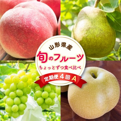 【発送月固定定期便】至高のフルーツ! 中山町旬のフルーツちょとずつ食べ比べ定期便A全4回