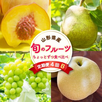【発送月固定定期便】至高のフルーツ! 中山町旬のフルーツちょとずつ食べ比べ定期便B全4回