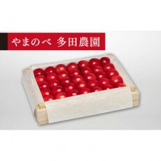 【2023年 先行受付】【特選佐藤錦】桐箱詰 約300g