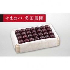 【2023年 先行受付】【特選サミット】桐箱詰 約700g