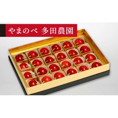 【2025年 先行受付】【珠玉佐藤錦】みやび箱 24粒