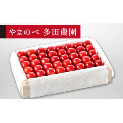 【2025年 先行受付】【特選紅秀峰】桐箱詰 約700g