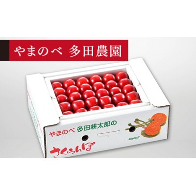 【2025年 先行受付】【真夏のルビー紅姫】手詰 約500g