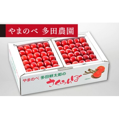 【2025年 先行受付】【真夏のルビー紅姫】手詰 約500g×2