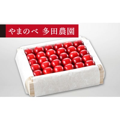 【2025年 先行受付】【特選「真夏のルビー紅姫」】桐箱詰 約500g