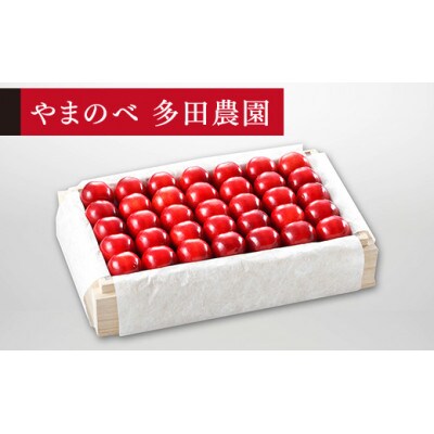 【2025年 先行受付】【特選「真夏のルビー紅姫」】桐箱詰 約700g