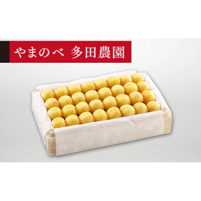 【2025年 先行受付】【特選月山錦】桐箱詰 約700g