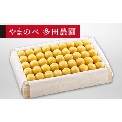 【2025年 先行受付】【特選月山錦】桐箱詰 約1.1kg