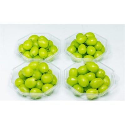 【2025年 先行受付】【シャインマスカット】ダイヤパック 250g×4