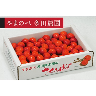 【2026年 先行受付】【紅秀峰】バラ詰 700g