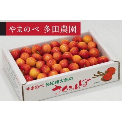 【2026年 先行受付】【レーニア】バラ詰 700g