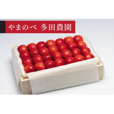 【2026年 先行受付】【特選やまがた紅王】桐箱詰 約500g