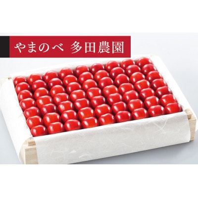 【2026年 先行受付】【特選やまがた紅王】桐箱詰 約1100g