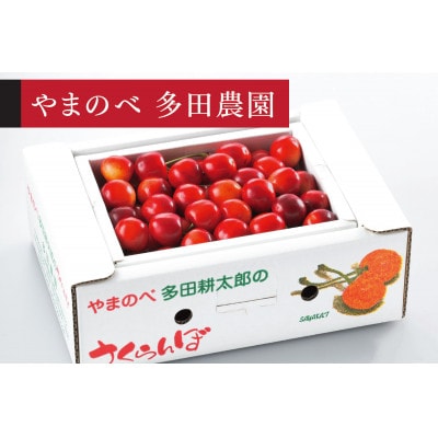 【2026年 先行受付】【紅さやか】バラ詰 500g