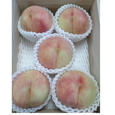山形県産　白桃　桐箱　2kg5～8玉　【品種おまかせ】