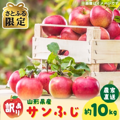 【さとふる限定】令和8年産　農家直送　わけあり「サンふじりんご」約10キロ